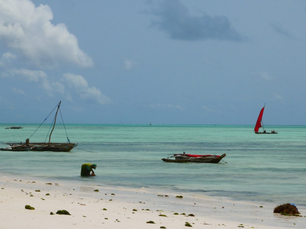 Zanzibar